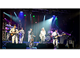 Chic and Nile Rodgers Tribute 