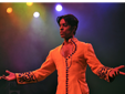 Prince Tribute Show and Lookalike