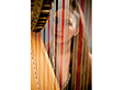 Harpist - Lizzy